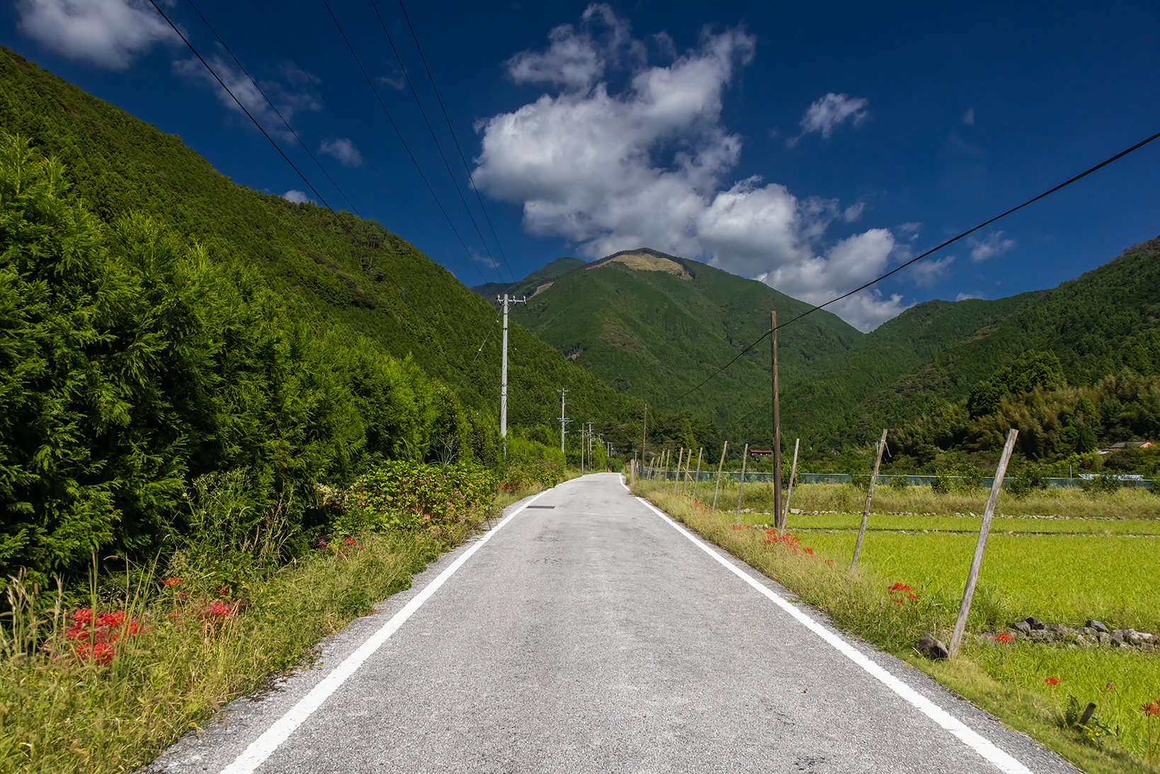 ジローのおうちへ続く畑山の道