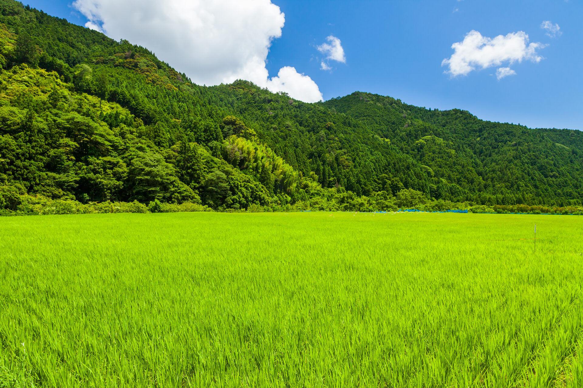 畑山の風景を創り、暮らし続けてゆく